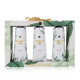 Accentra - Kit de Mãos Botanic Spa 6057700