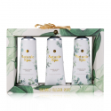 Accentra - Kit de Mãos Botanic Spa 6057700