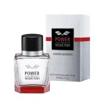 Banderas - Power of Seduction EDT