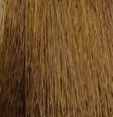 8.35 - Light Golden Mahogany Blonde